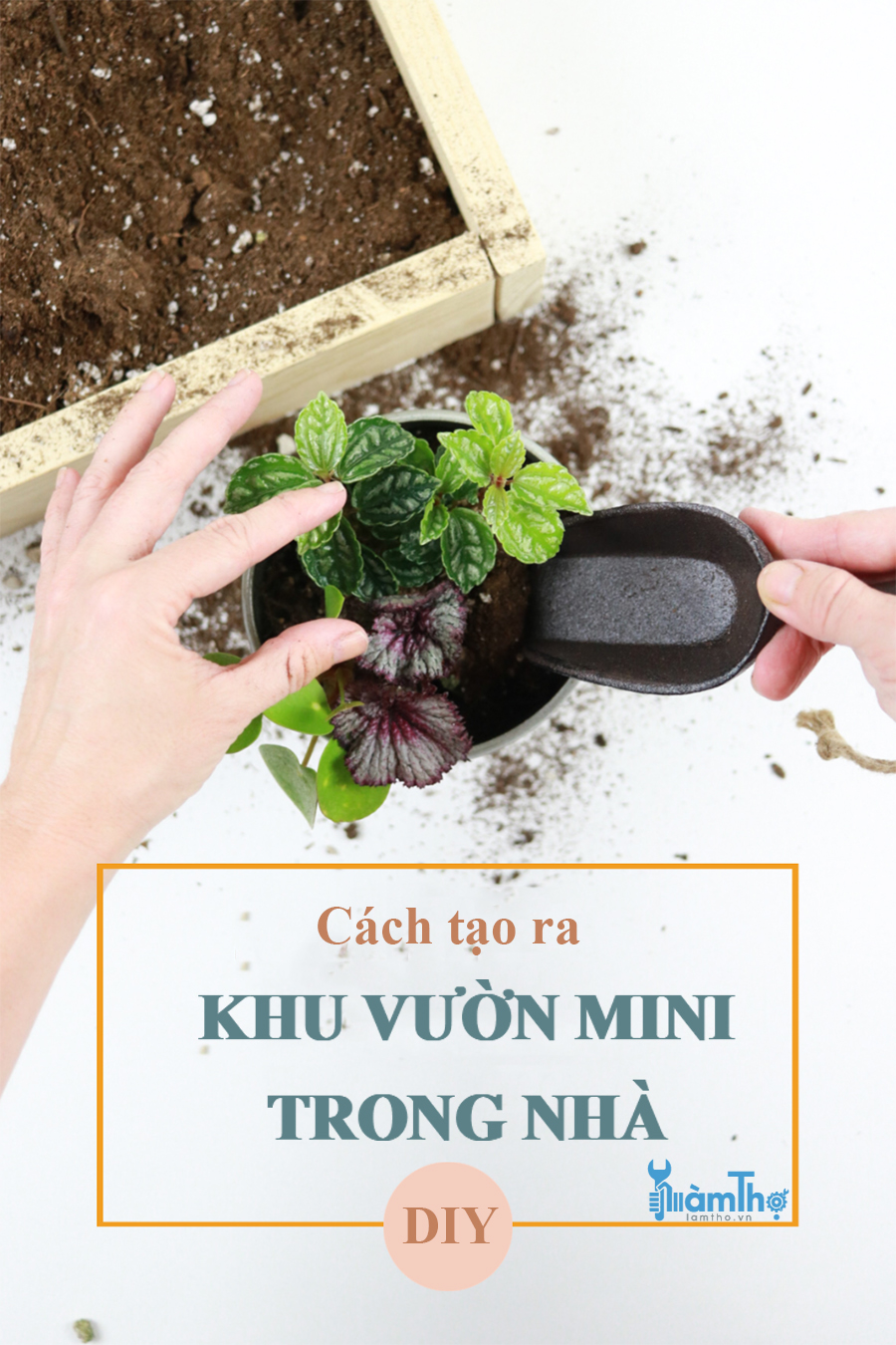 Cách tự tạo ra một khu vườn mini trong nhà của riêng bạn