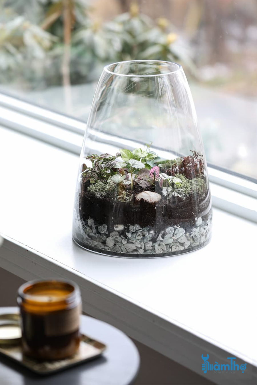 Cách làm Terrarium trong lọ thủy tinh