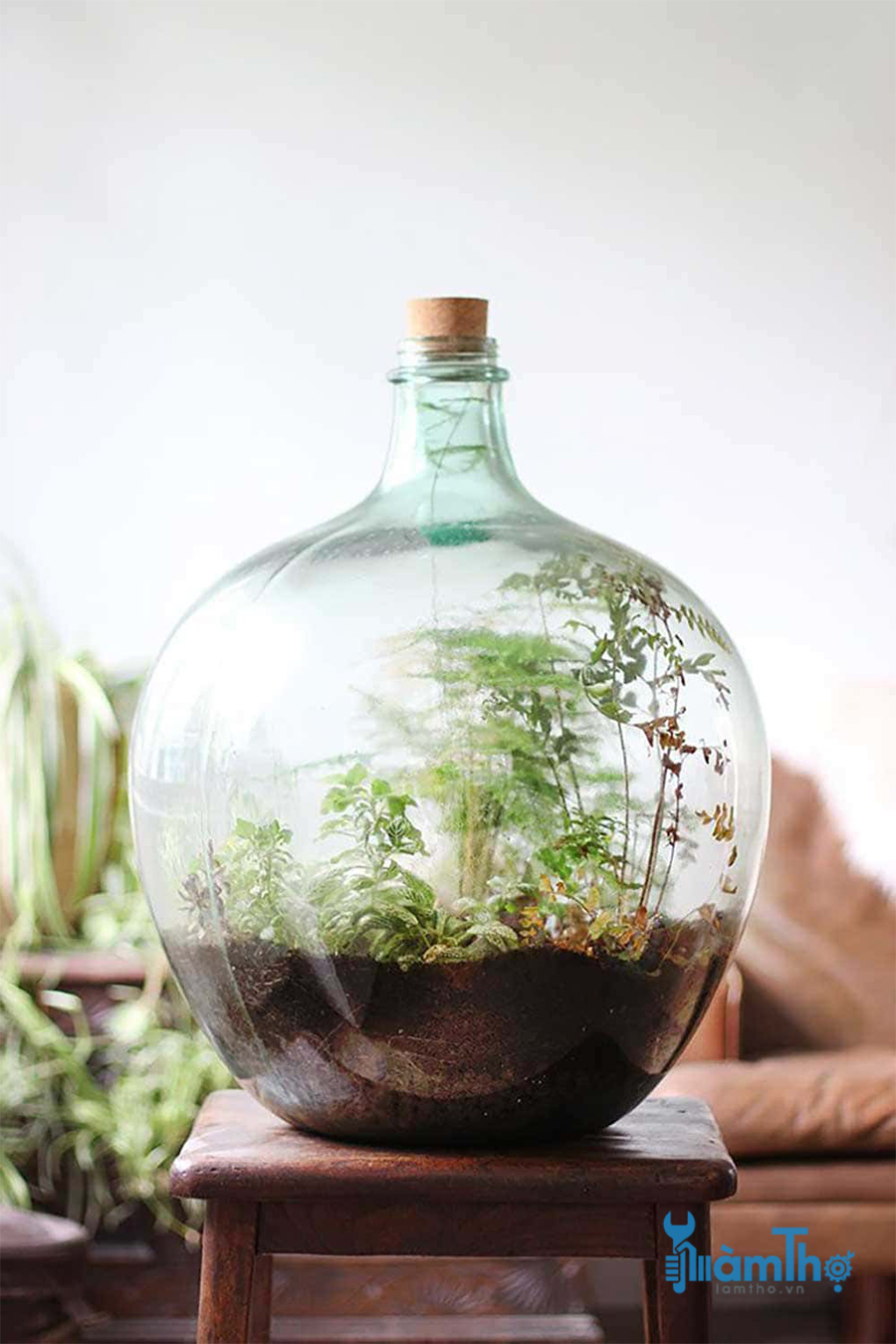 Cách trồng Terrarium trong chai thủy tinh lớn đóng kín