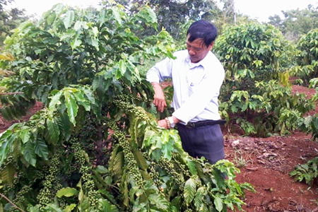 Cần nhìn khách quan, khoa học hơn