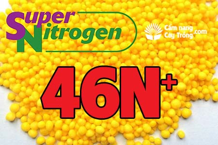 Công nghệ sản xuất đạm hạt vàng, đạm vi lượng, đạm 46N+, Urea Gold, phân bón vi lượng vàng