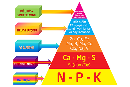Dinh dưỡng cây trồng - P1: Dinh dưỡng đa lượng