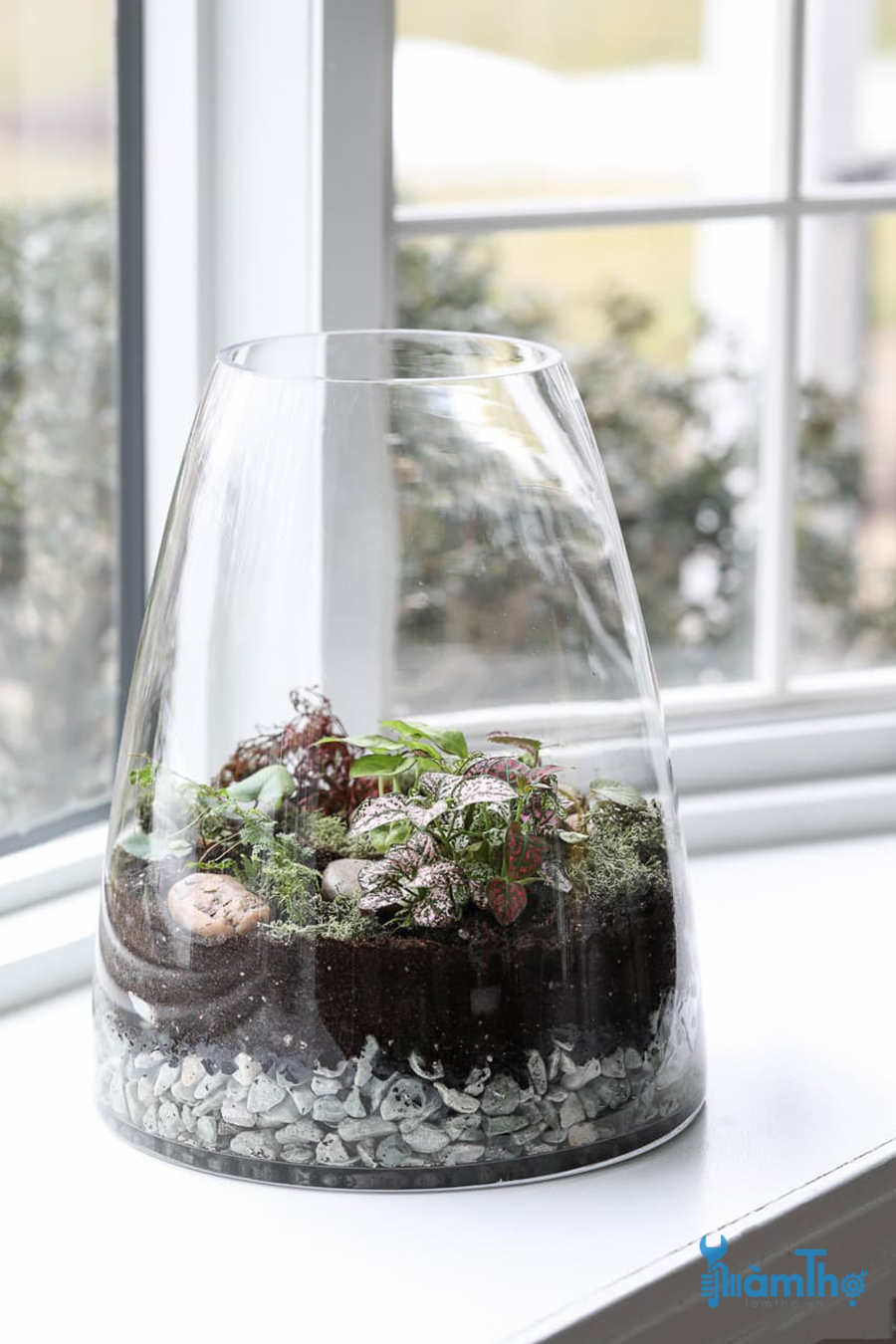 Tiểu cảnh Terrarium