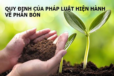 Quy định của Pháp luật hiện hành về phân bón