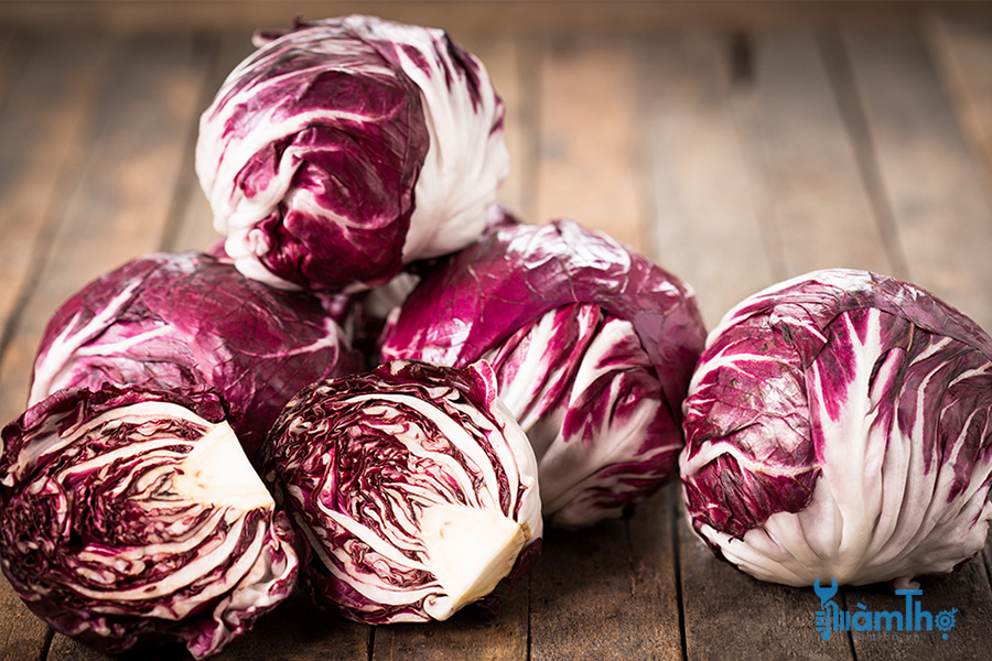 Bắp cải đỏ Radicchio