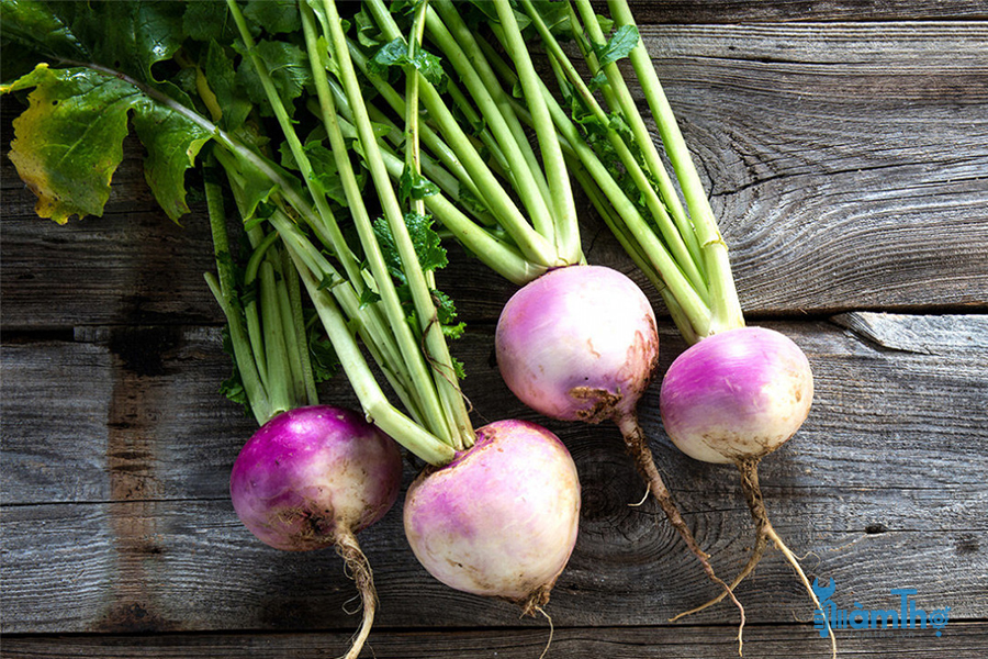 Hướng dẫn cách trồng củ cải Turnip từ hạt giống