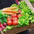 Bật mí cách phân biệt rau sạch và rau hữu cơ đảm bảo chất dinh dưỡng