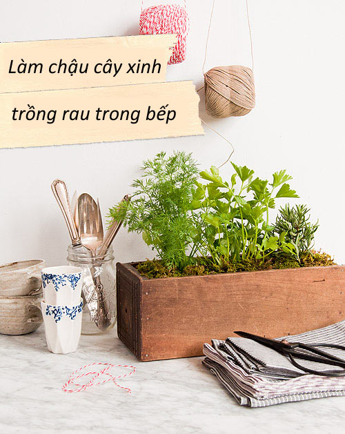 Tuyệt chiêu trồng rau trong bếp bằng chậu cây gỗ độc đáo