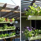 Tuyệt chiêu trồng rau trong nhà tạo không gian xanh tiết kiệm diện tích