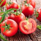 Cách khắc phục những sai lầm thường mắc phải khi trồng cà chua