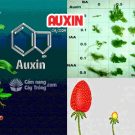 Auxin