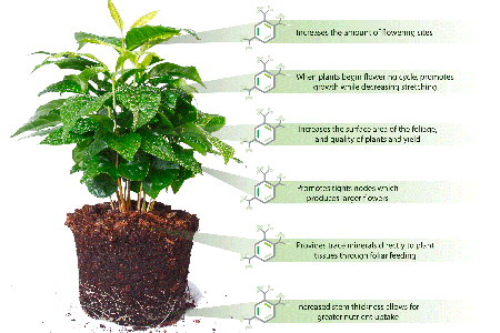 Chất hữu cơ, mùn, humate, axit humic, axit fulvic và humin... (phần cuối)