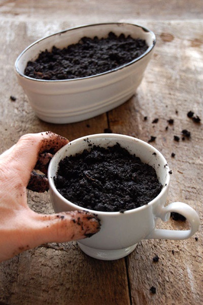 Cách trồng cây bạc hà